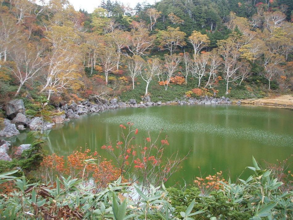Natural Pension Pumpkin Otari Εξωτερικό φωτογραφία